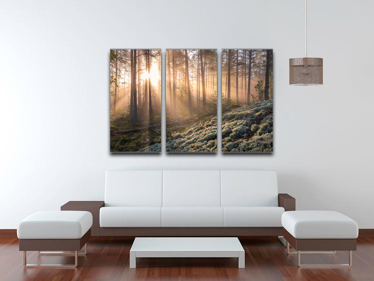 Fog In The Forest With White Moss In The Forground 3 Split Panel Canvas Print - Canvas Art Rocks - 3