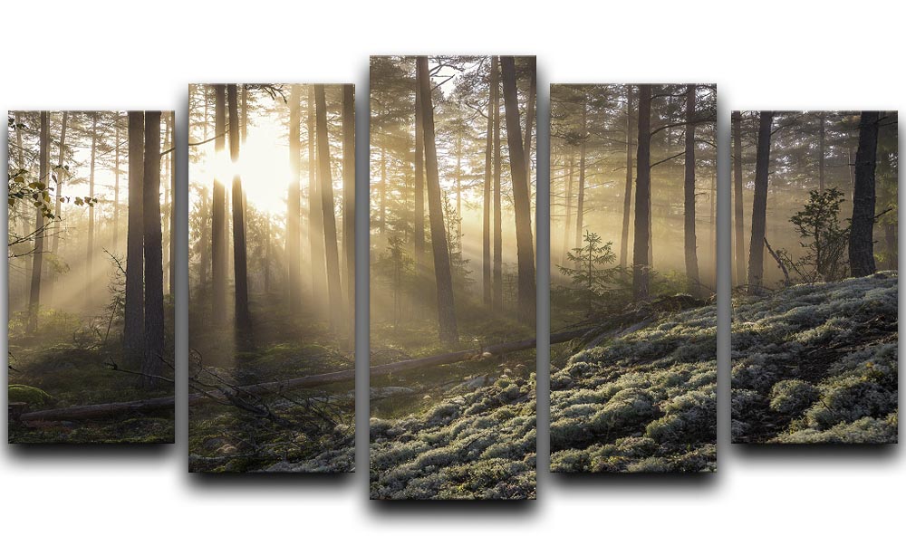 Fog In The Forest With White Moss In The Forground 5 Split Panel Canvas - Canvas Art Rocks - 1