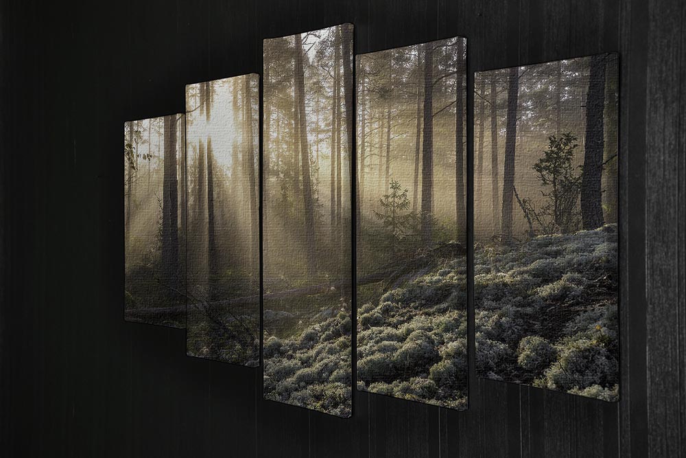 Fog In The Forest With White Moss In The Forground 5 Split Panel Canvas - Canvas Art Rocks - 2