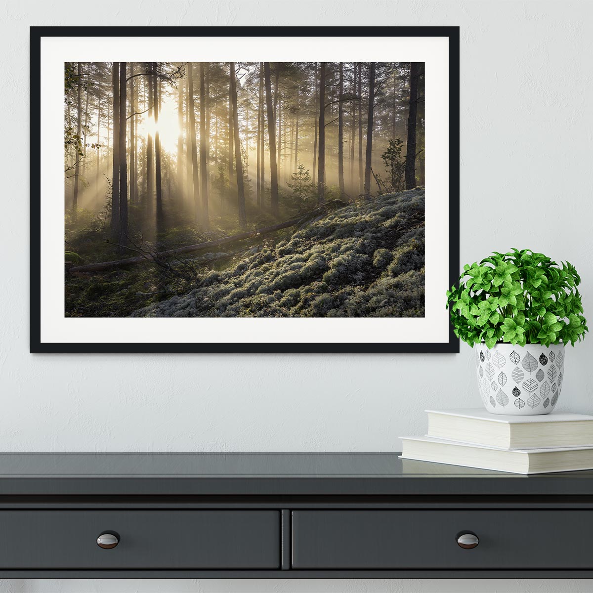 Fog In The Forest With White Moss In The Forground Framed Print - Canvas Art Rocks - 1