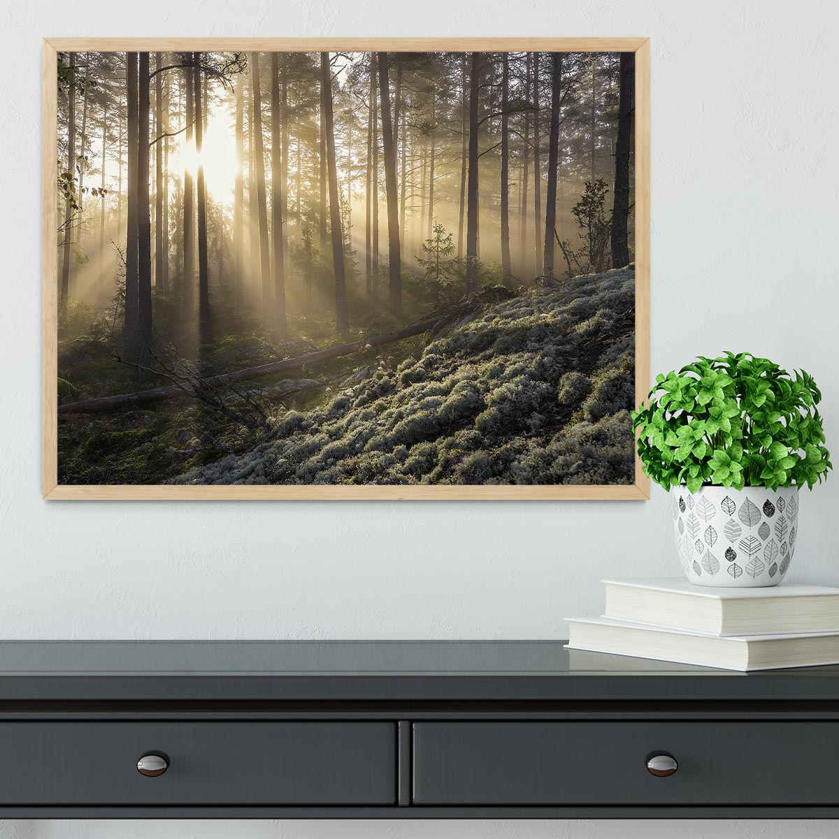 Fog In The Forest With White Moss In The Forground Framed Print - Canvas Art Rocks - 4