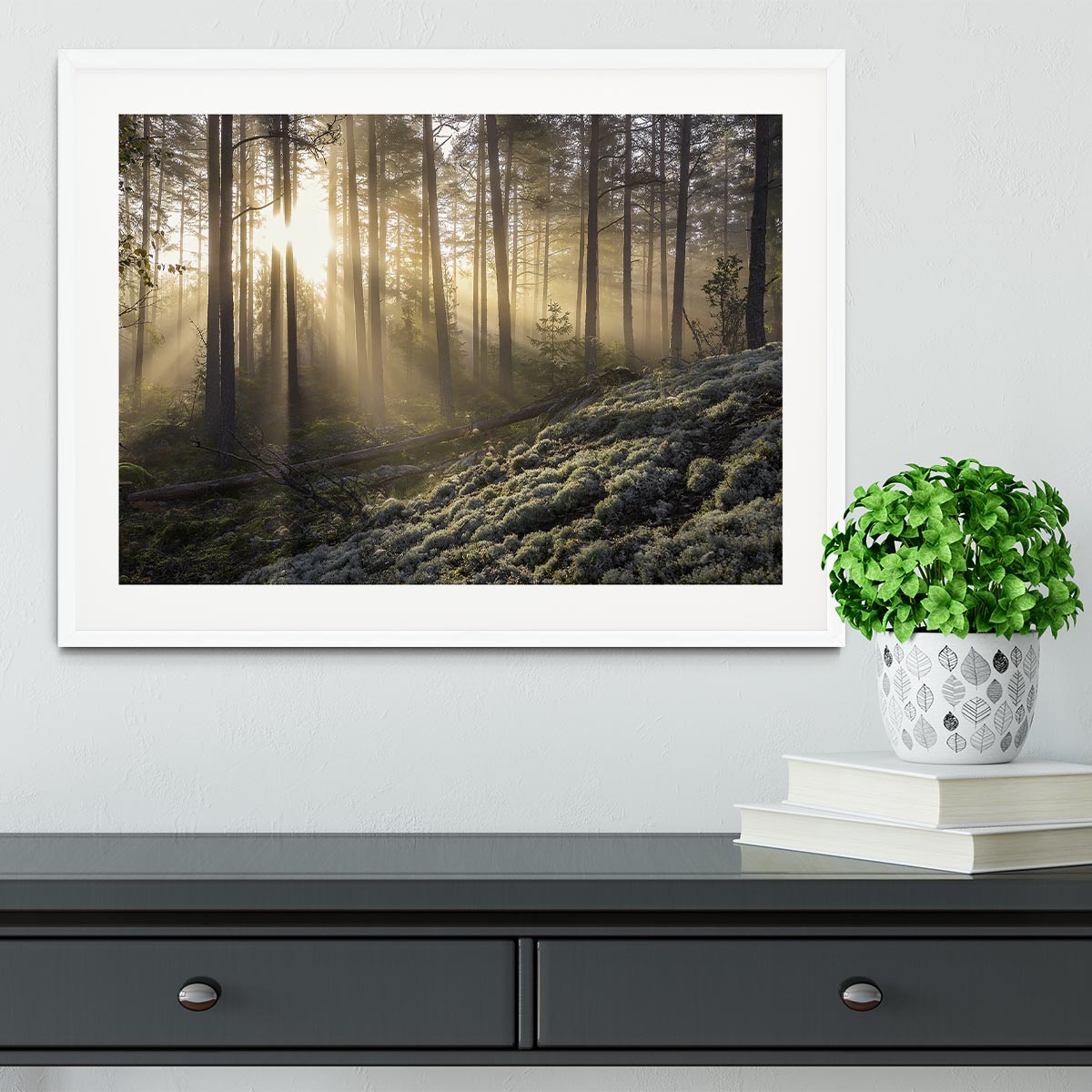 Fog In The Forest With White Moss In The Forground Framed Print - Canvas Art Rocks - 5