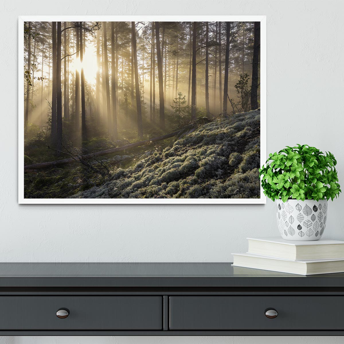 Fog In The Forest With White Moss In The Forground Framed Print - Canvas Art Rocks -6