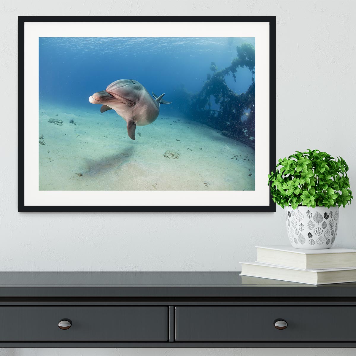 Dolphin Framed Print - Canvas Art Rocks - 1