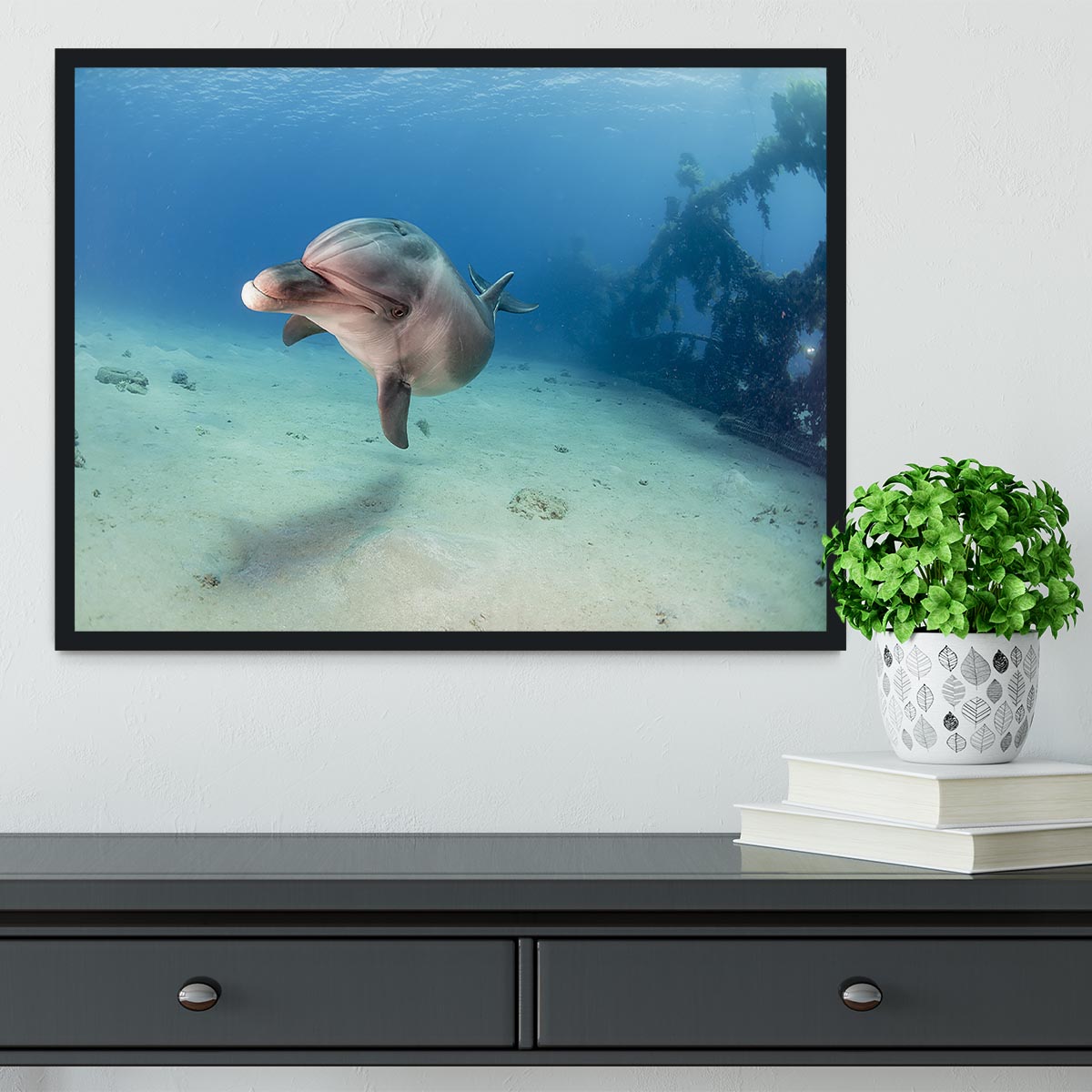 Dolphin Framed Print - Canvas Art Rocks - 2
