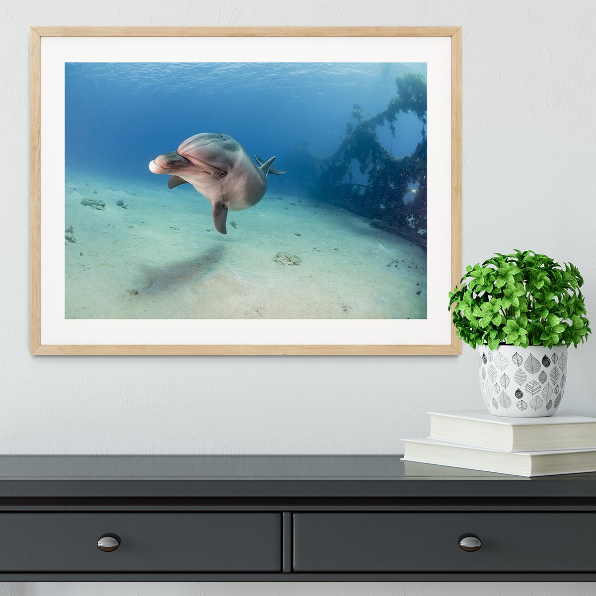 Dolphin Framed Print - Canvas Art Rocks - 3