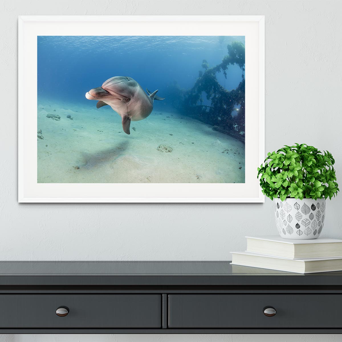 Dolphin Framed Print - Canvas Art Rocks - 5