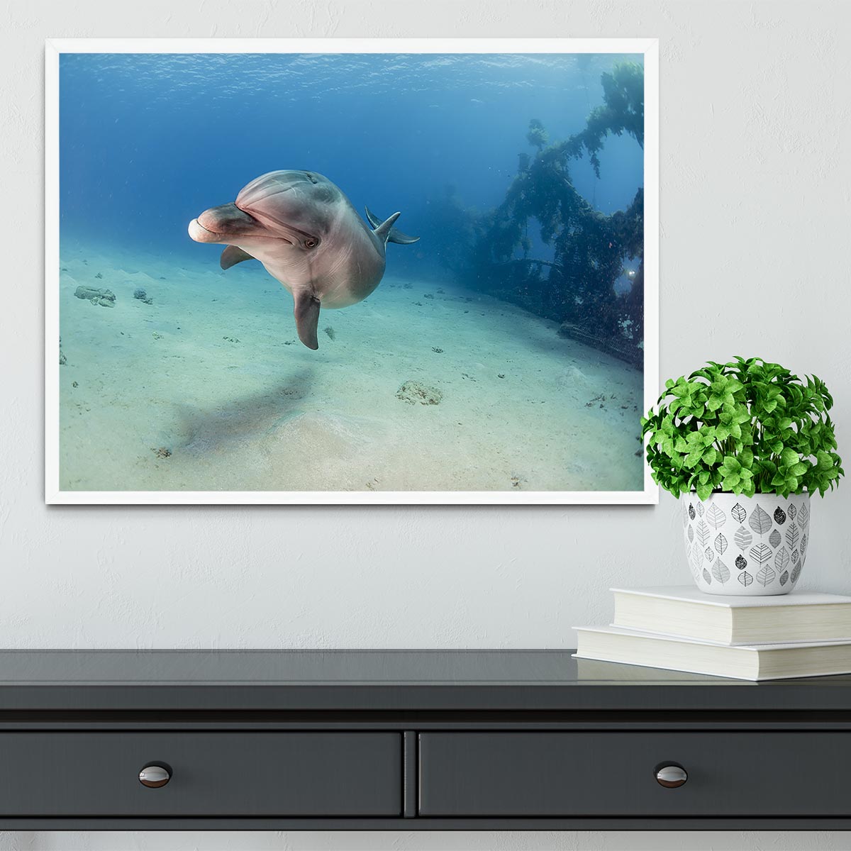 Dolphin Framed Print - Canvas Art Rocks -6