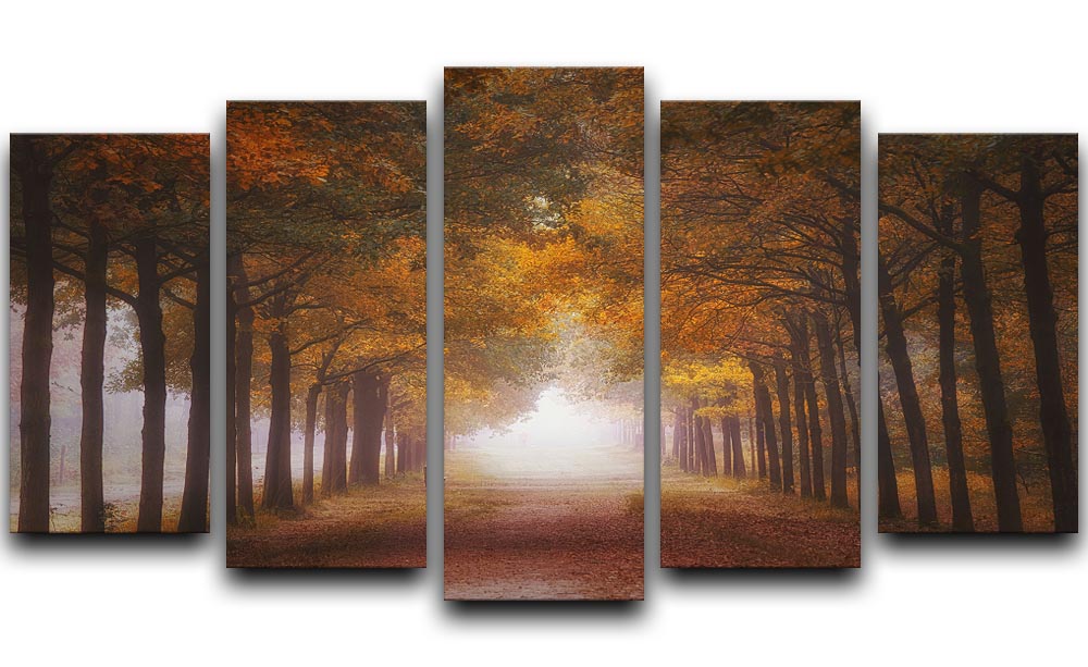Foggy Autumn Dream 5 Split Panel Canvas - Canvas Art Rocks - 1