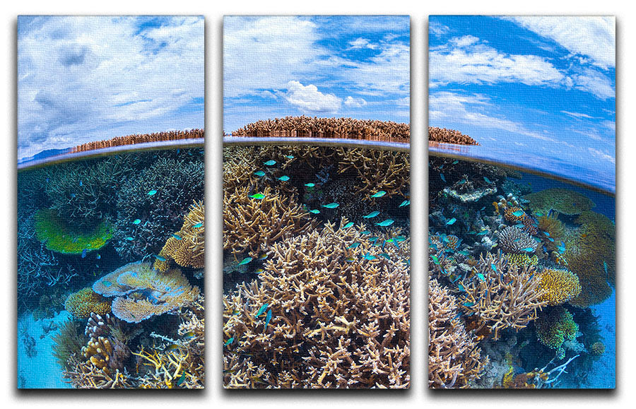 Split Level From Mayotte Reef 3 Split Panel Canvas Print - Canvas Art Rocks - 1