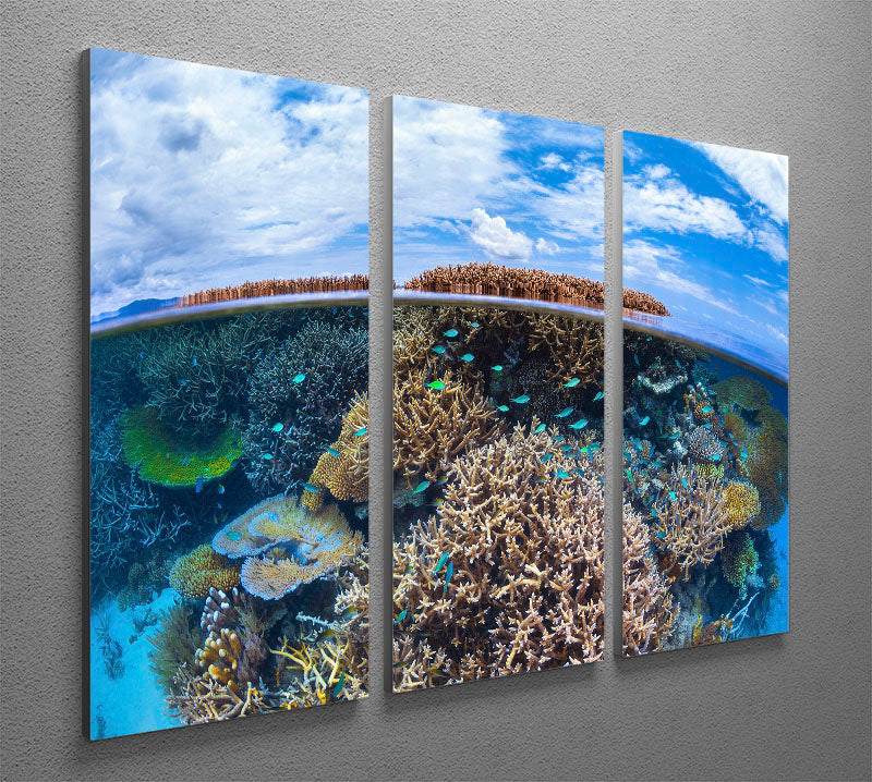 Split Level From Mayotte Reef 3 Split Panel Canvas Print - Canvas Art Rocks - 2