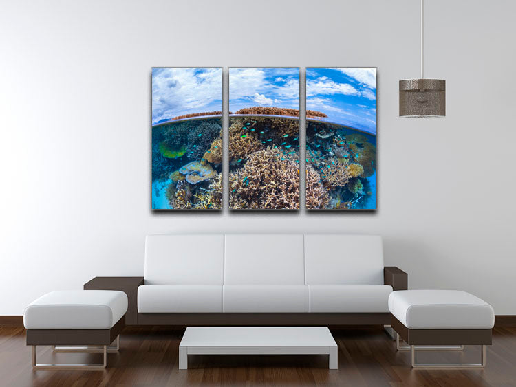Split Level From Mayotte Reef 3 Split Panel Canvas Print - Canvas Art Rocks - 3