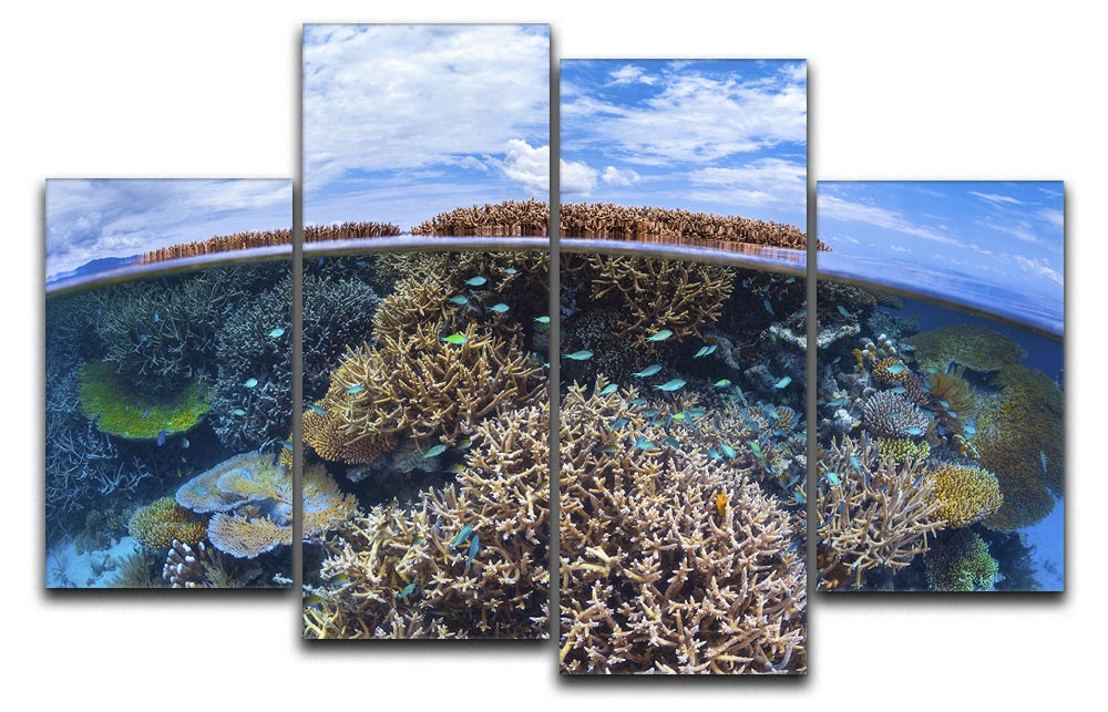 Split Level From Mayotte Reef 4 Split Panel Canvas - Canvas Art Rocks - 1