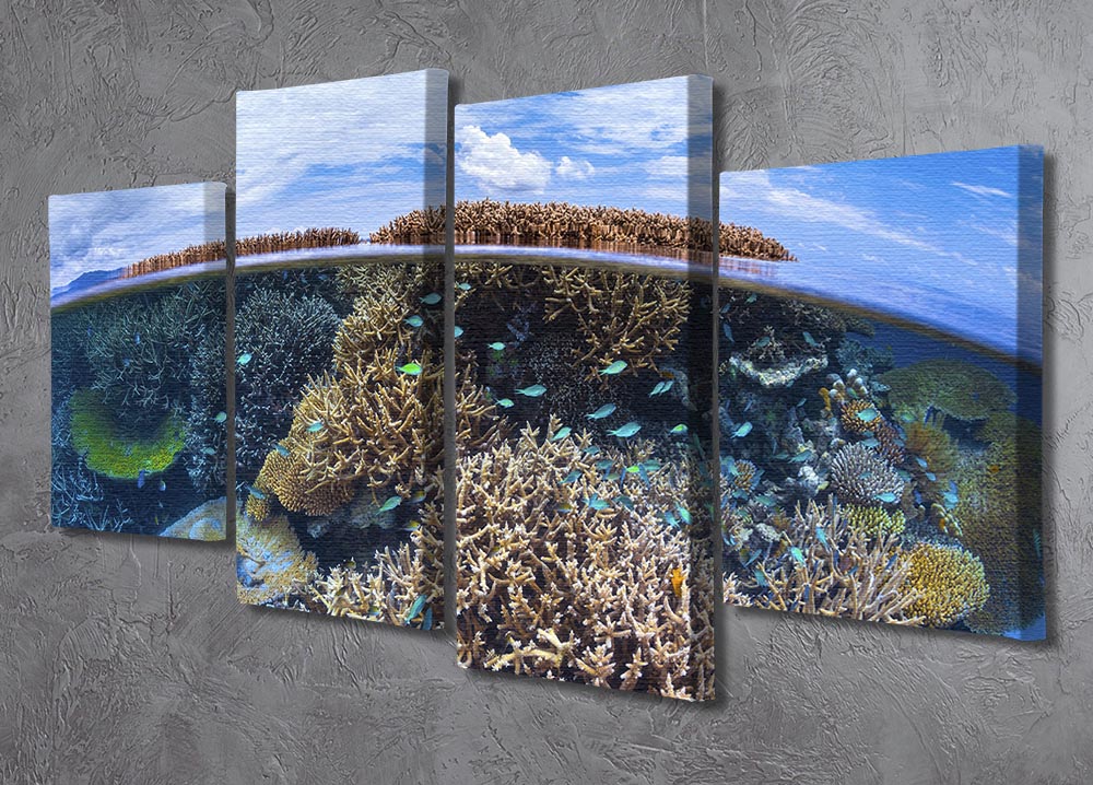 Split Level From Mayotte Reef 4 Split Panel Canvas - Canvas Art Rocks - 2
