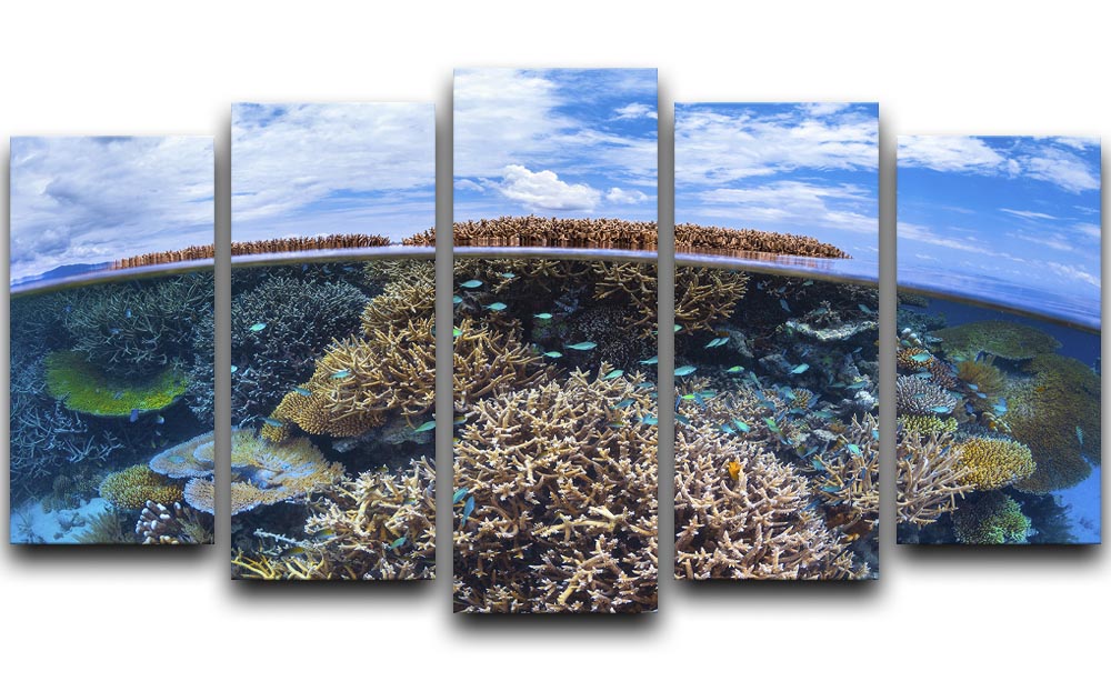Split Level From Mayotte Reef 5 Split Panel Canvas - Canvas Art Rocks - 1