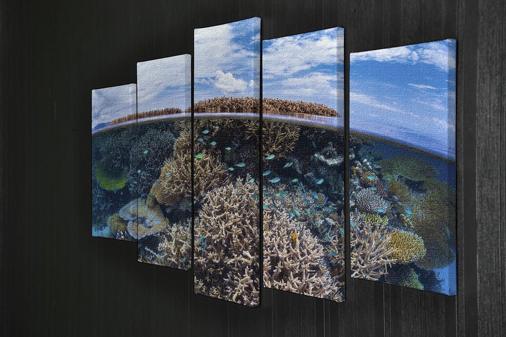 Split Level From Mayotte Reef 5 Split Panel Canvas - Canvas Art Rocks - 2