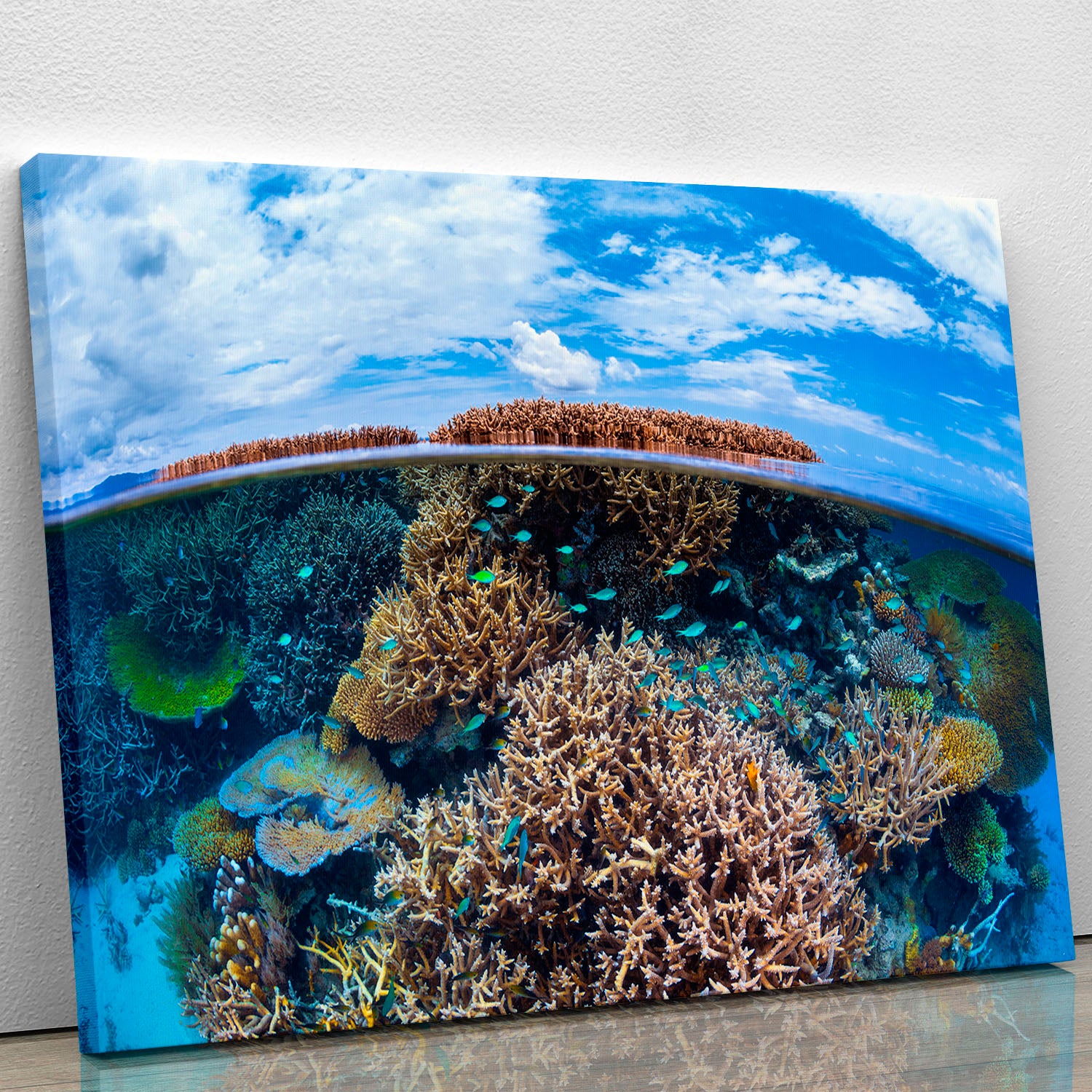 Split Level From Mayotte Reef Canvas Print or Poster - Canvas Art Rocks - 1