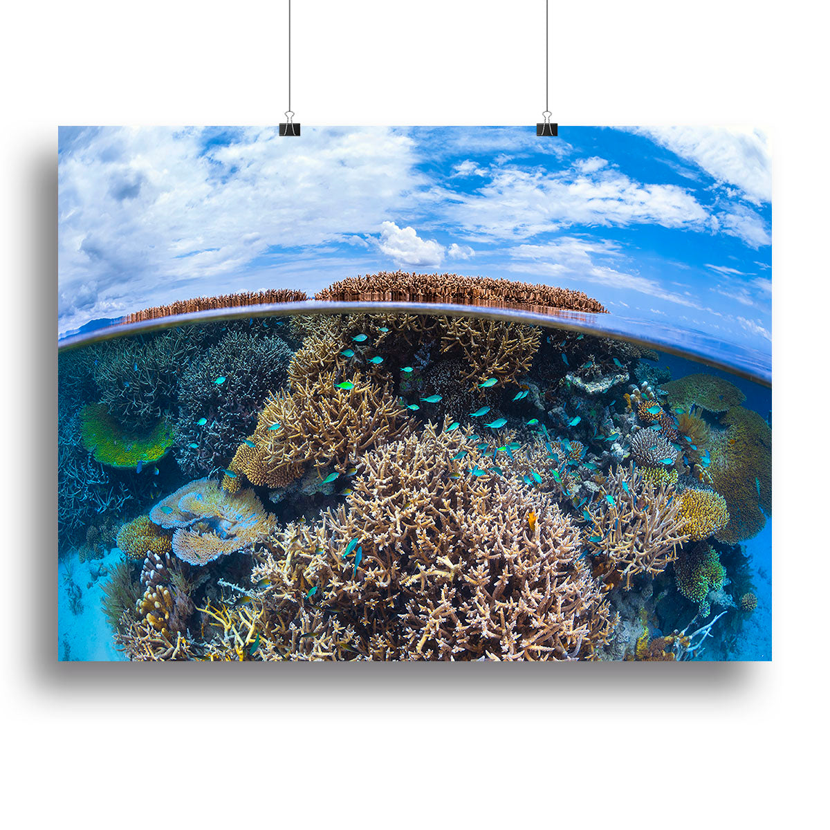 Split Level From Mayotte Reef Canvas Print or Poster - Canvas Art Rocks - 2