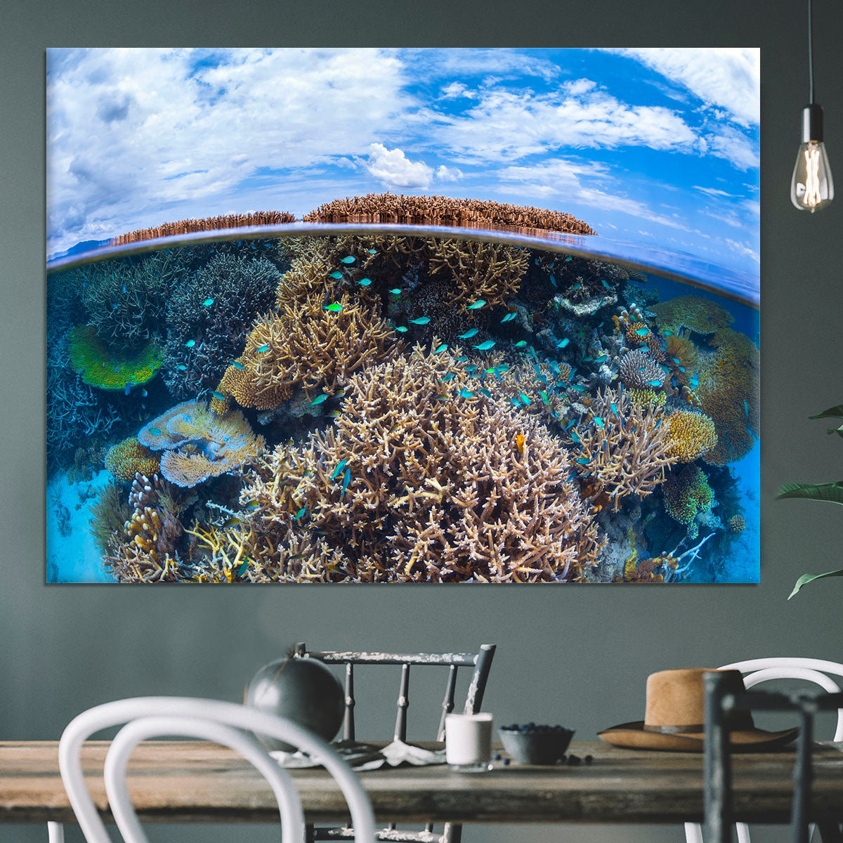 Split Level From Mayotte Reef Canvas Print or Poster - Canvas Art Rocks - 3