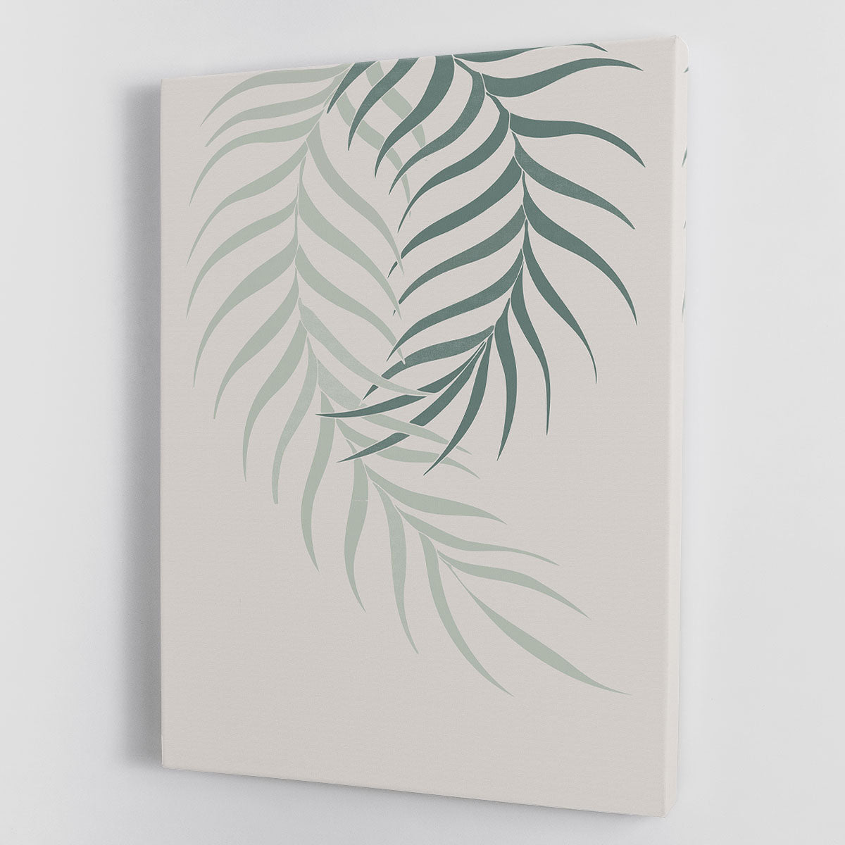 Leaf Frilly Green Canvas Print or Poster - Canvas Art Rocks - 1