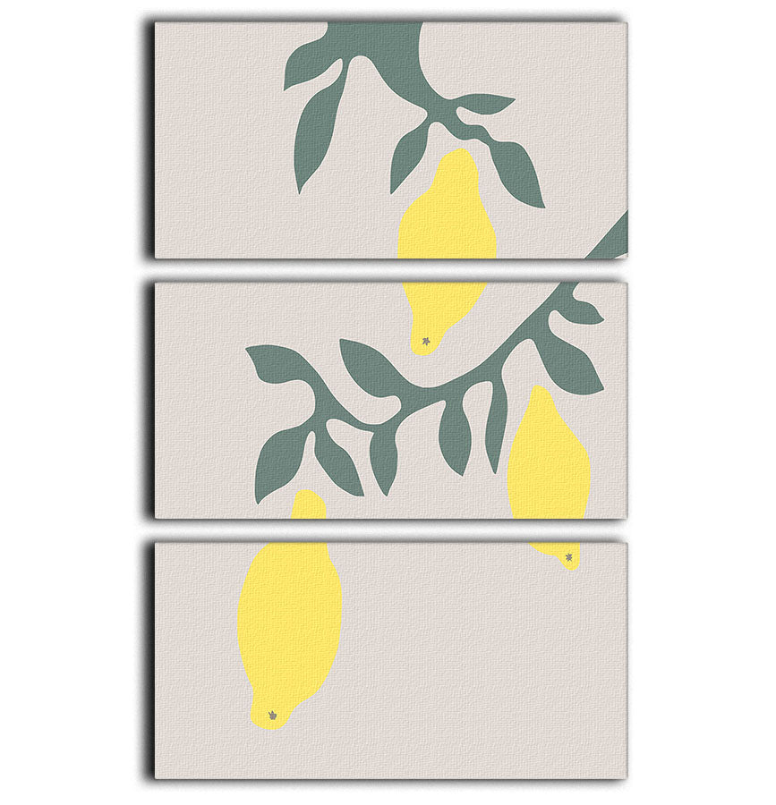 Lemons 3 Split Panel Canvas Print - 1x - 1
