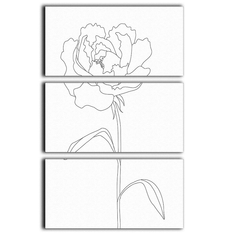 Peony Lines 3 Split Panel Canvas Print - Canvas Art Rocks - 1