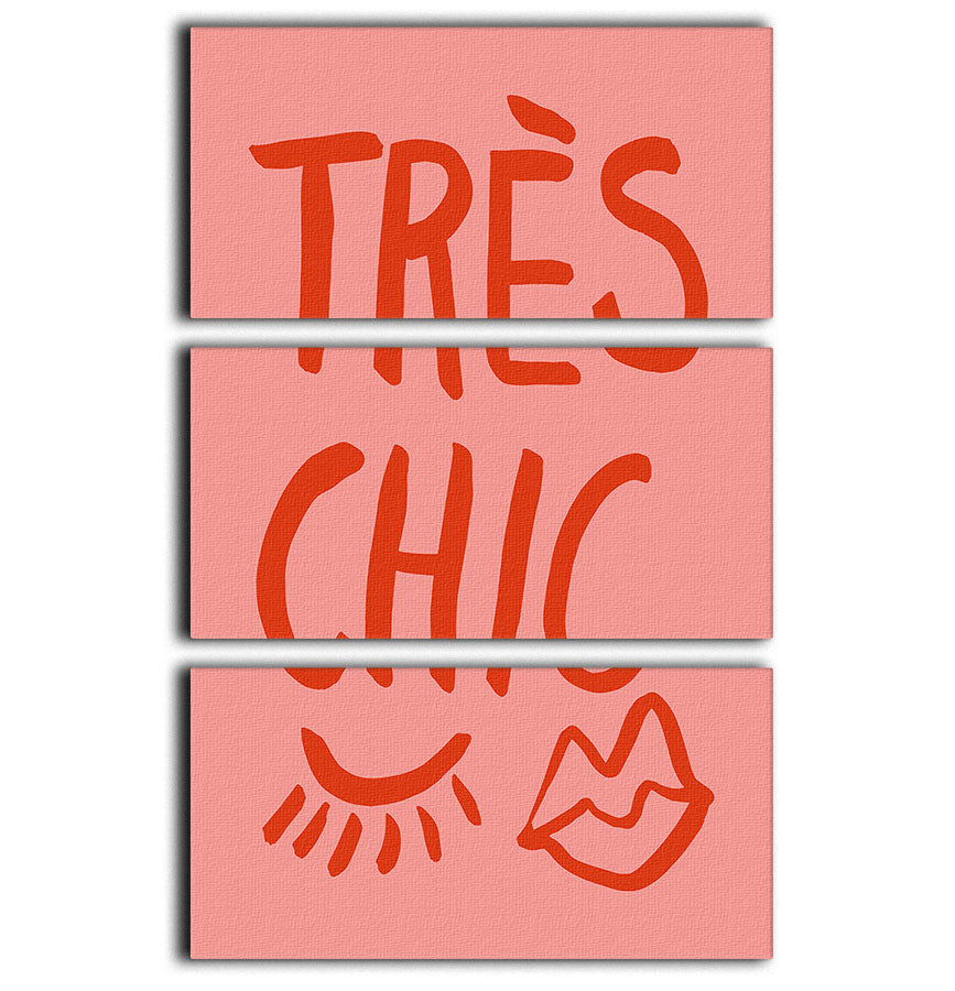 TrAus Chic Pink 3 Split Panel Canvas Print - Canvas Art Rocks - 1
