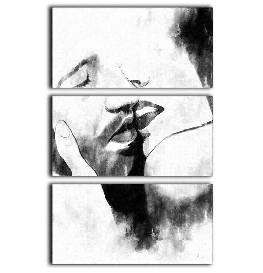 Kiss Close 3 Split Panel Canvas Print - Canvas Art Rocks - 1