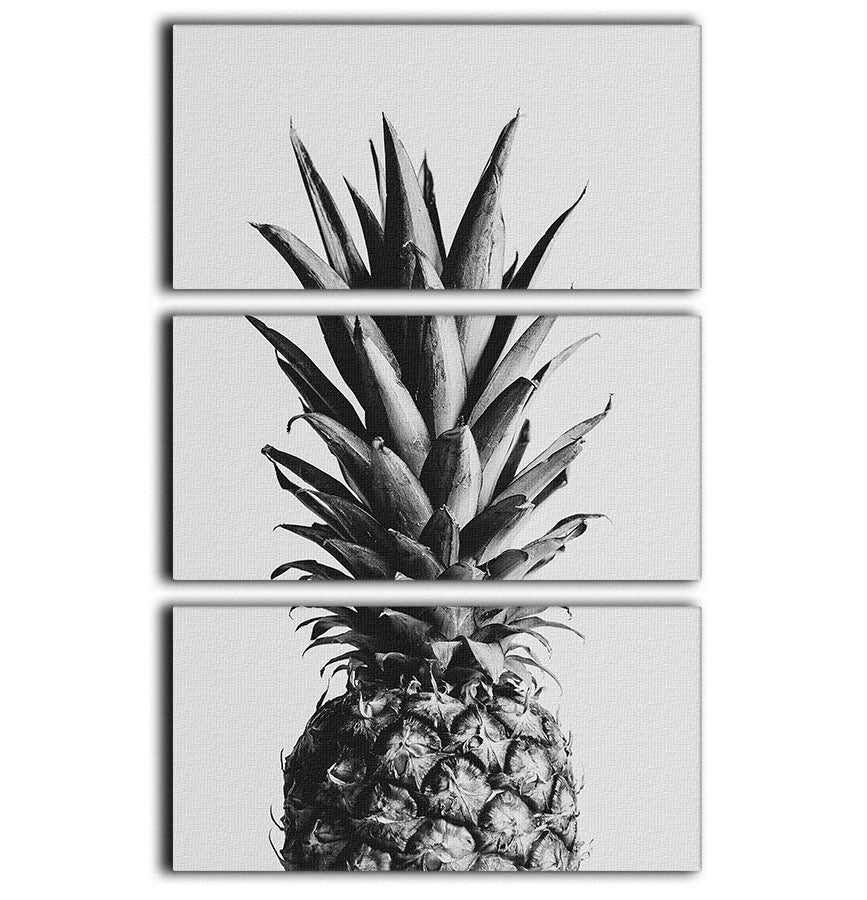 Pineapple Black a White 02 3 Split Panel Canvas Print - Canvas Art Rocks - 1