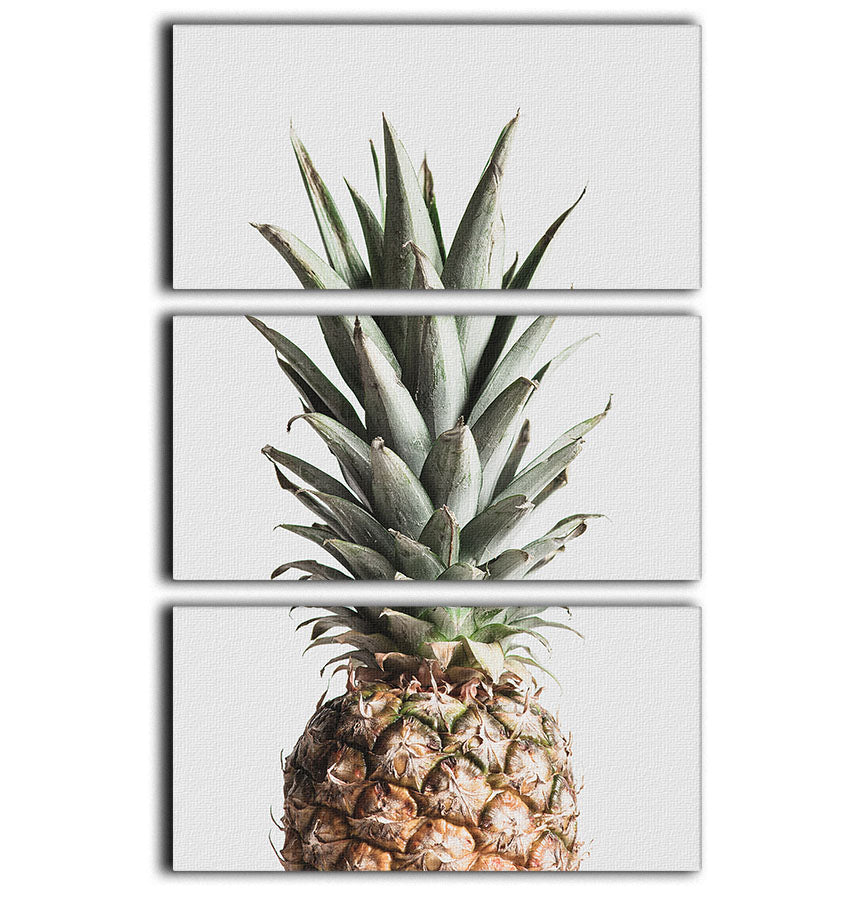 Pineapple Natural 3 Split Panel Canvas Print - Canvas Art Rocks - 1