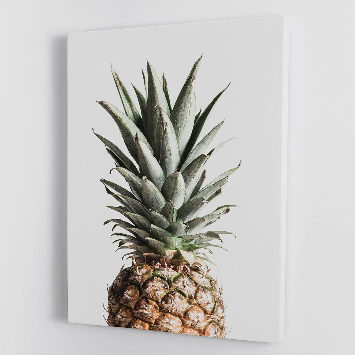 Pineapple Natural Canvas Print or Poster - Canvas Art Rocks - 1