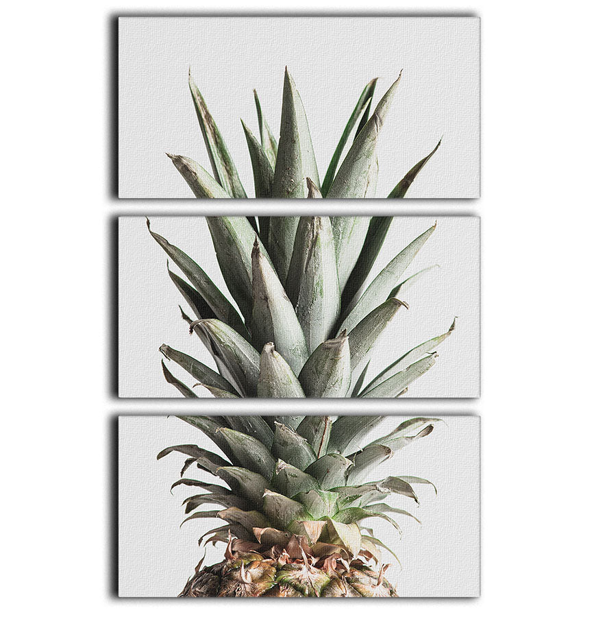 Pineapple Natural 02 3 Split Panel Canvas Print - Canvas Art Rocks - 1