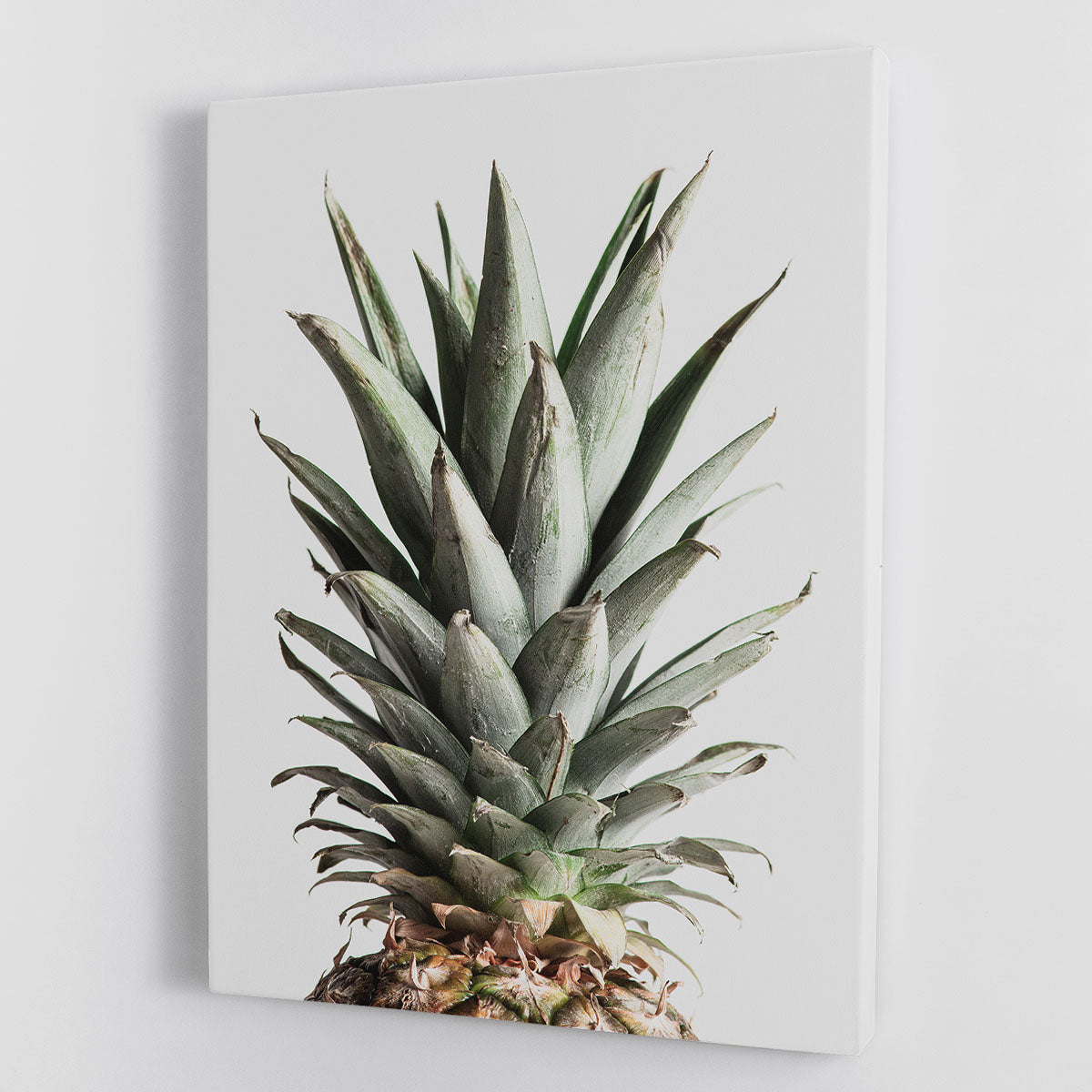 Pineapple Natural 02 Canvas Print or Poster - Canvas Art Rocks - 1