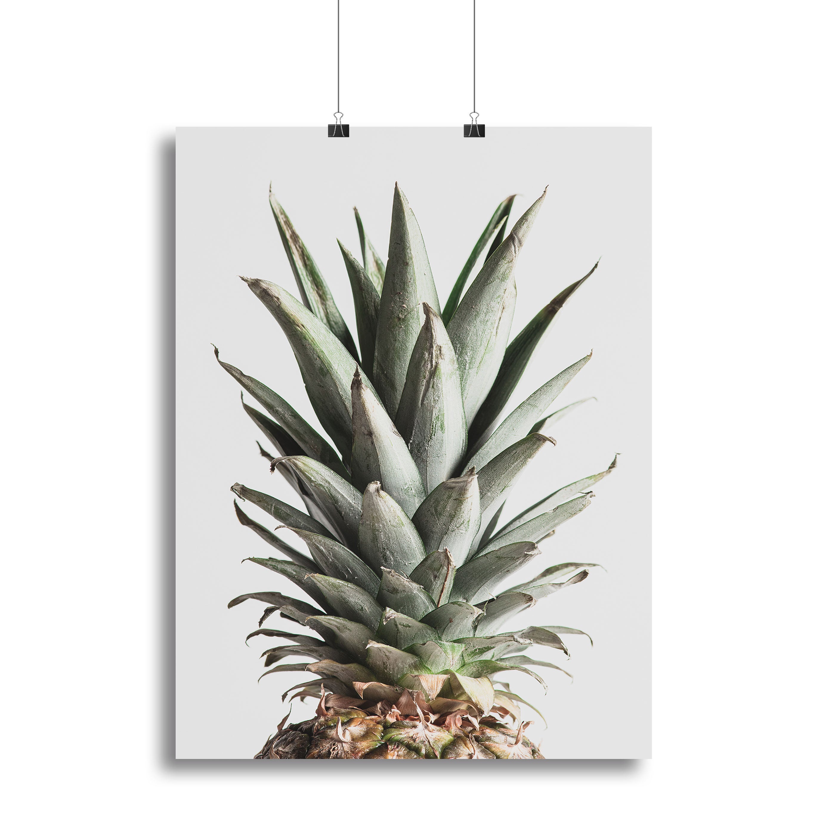 Pineapple Natural 02 Canvas Print or Poster - Canvas Art Rocks - 2