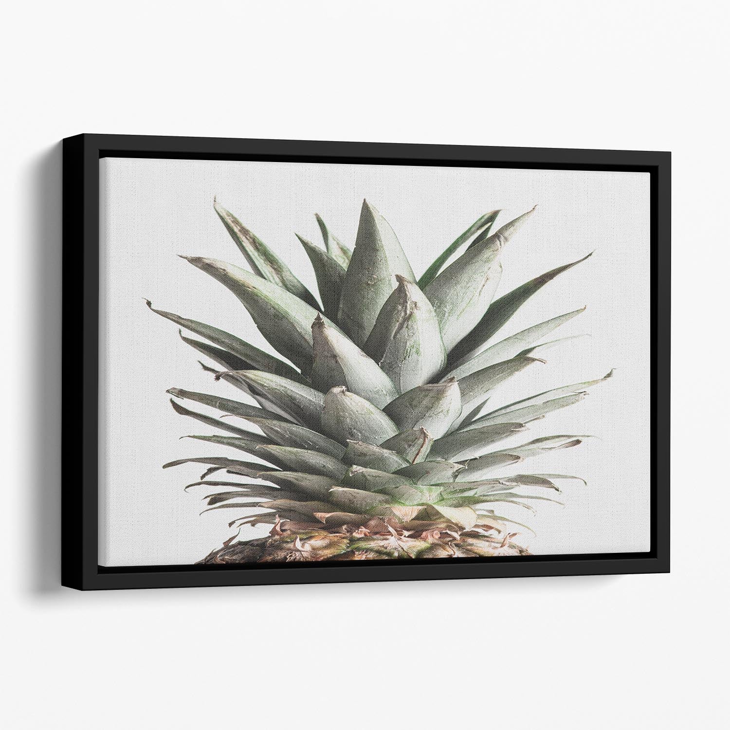 Pineapple Natural 02 Floating Framed Canvas - Canvas Art Rocks - 1
