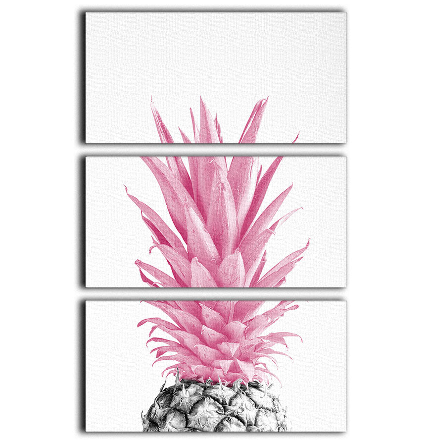 Pinapple Pink 03 3 Split Panel Canvas Print - Canvas Art Rocks - 1
