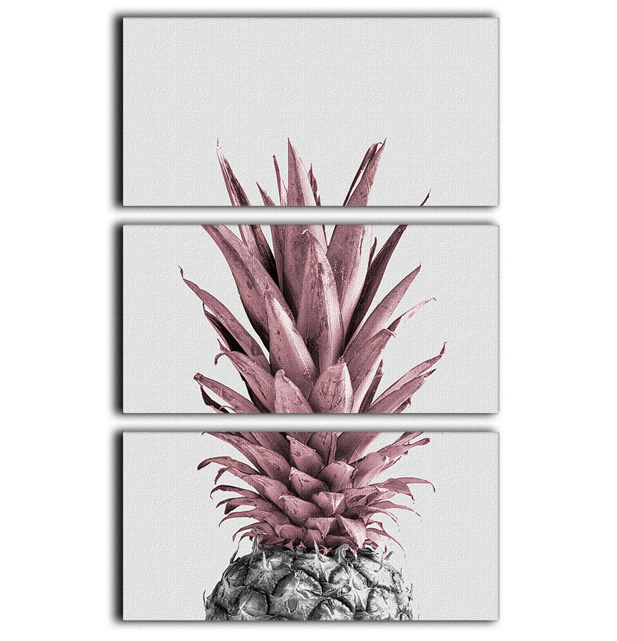 Pineapple Pink 04 3 Split Panel Canvas Print - Canvas Art Rocks - 1
