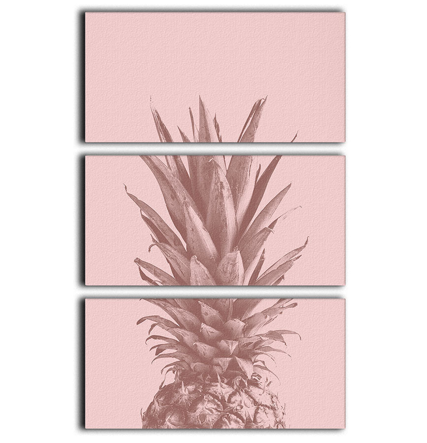 Pinapple Pink 05 3 Split Panel Canvas Print - Canvas Art Rocks - 1
