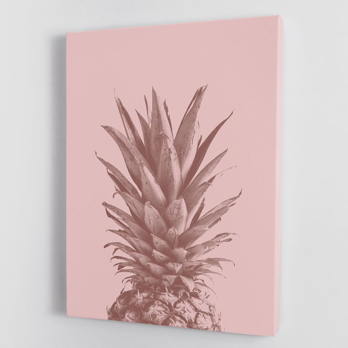 Pinapple Pink 05 Canvas Print or Poster - Canvas Art Rocks - 1