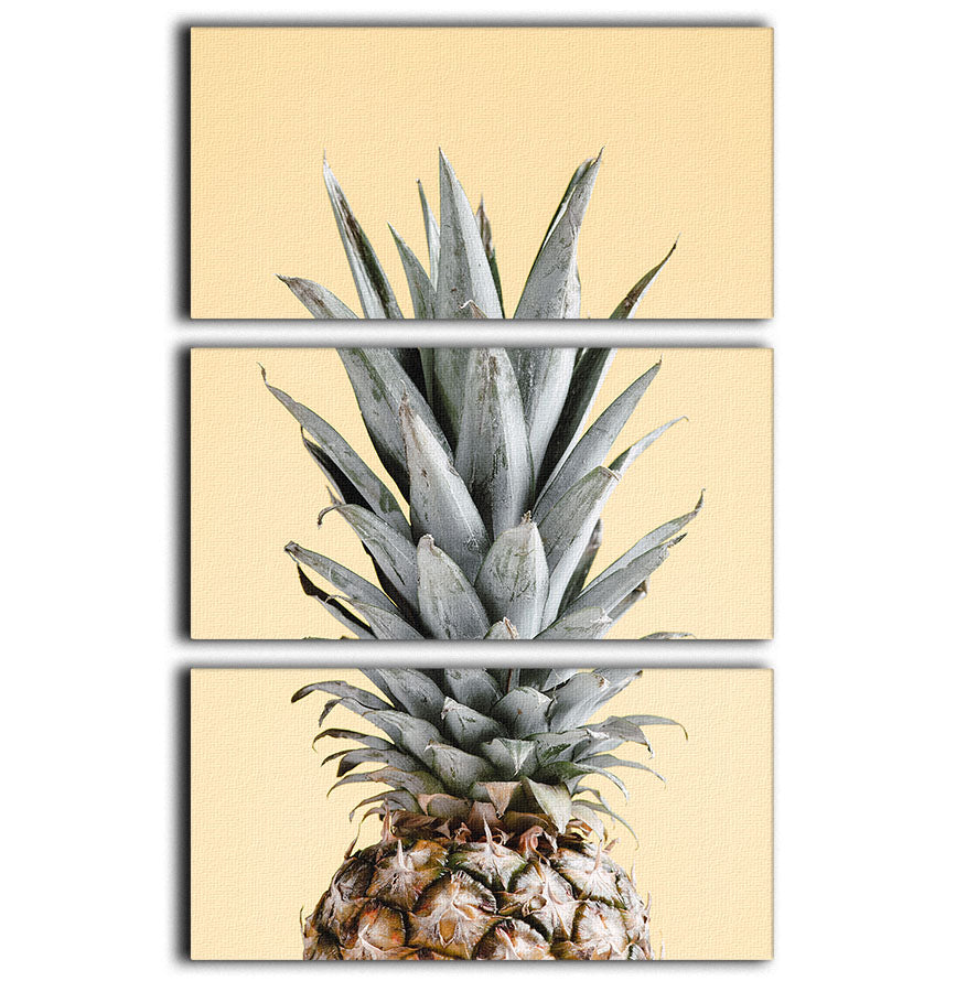 Pineapple Yellow 04 3 Split Panel Canvas Print - Canvas Art Rocks - 1
