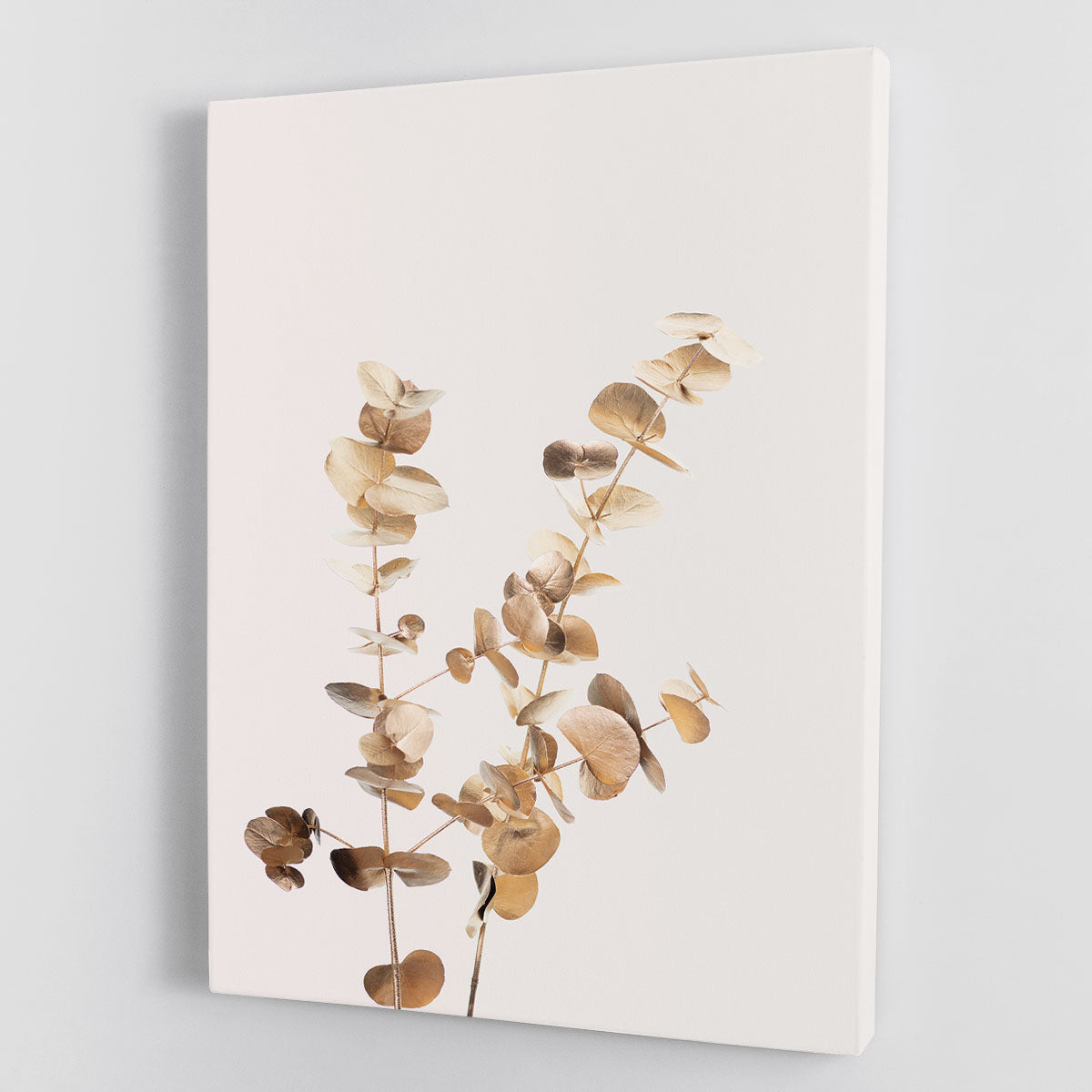 Eucalyptus Gold No 02 Canvas Print or Poster - Canvas Art Rocks - 1