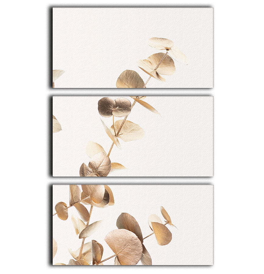 Eucalyptus Gold No 03 3 Split Panel Canvas Print - Canvas Art Rocks - 1