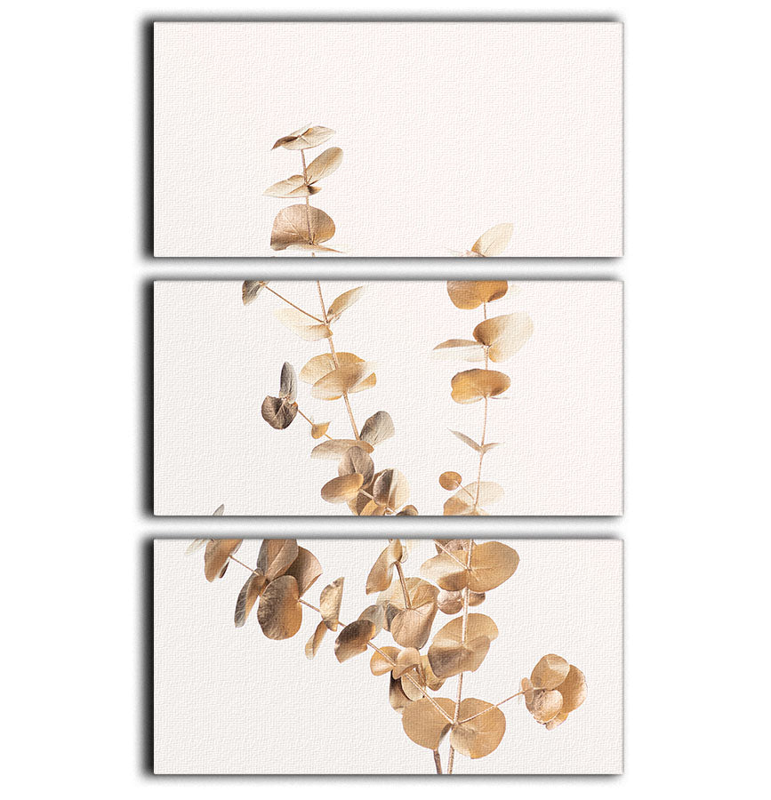 Eucalyptus Gold No 04 3 Split Panel Canvas Print - Canvas Art Rocks - 1