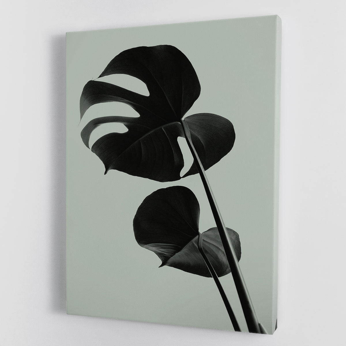 Monstera Teal 01 Canvas Print or Poster - Canvas Art Rocks - 1