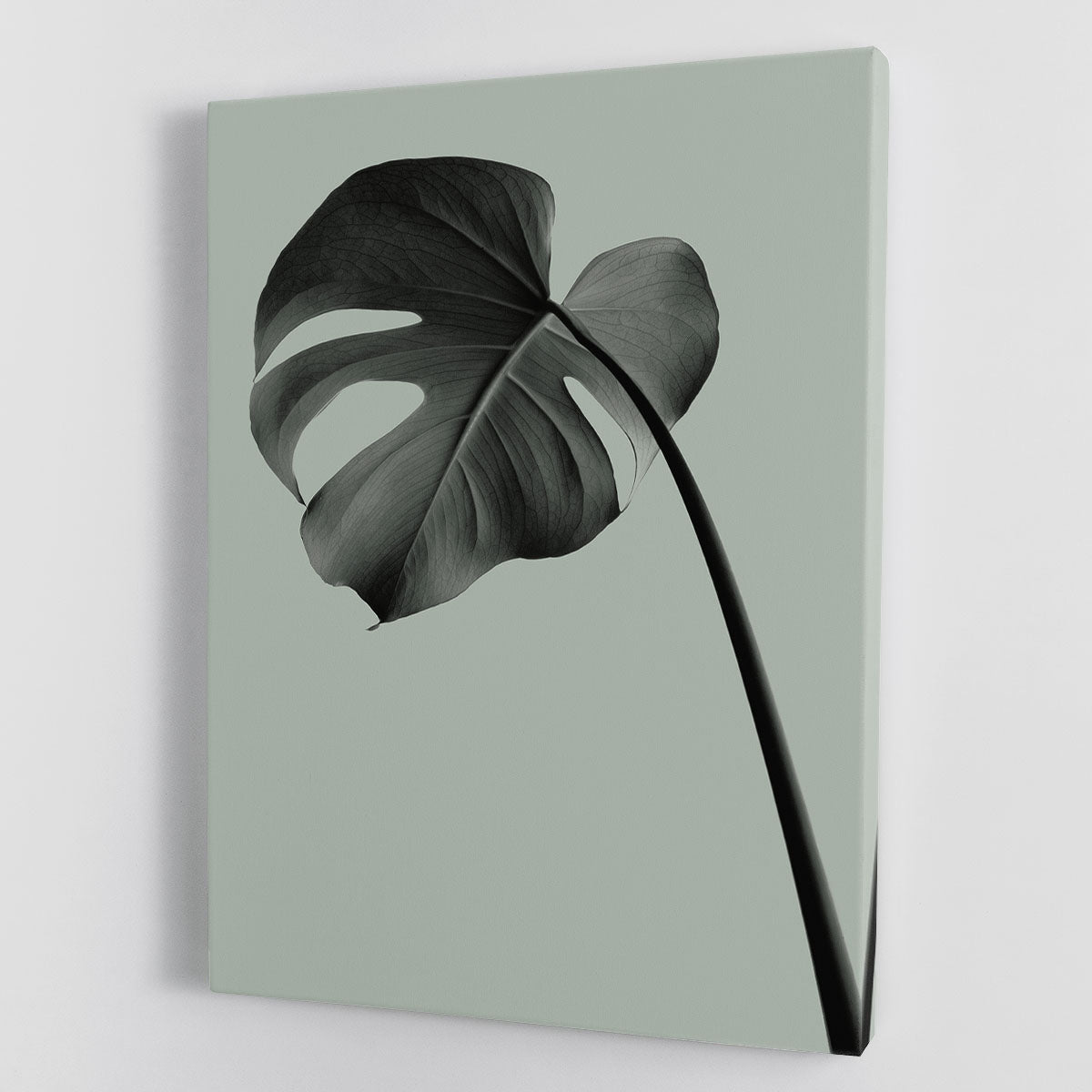 Monstera Teal 02 Canvas Print or Poster - Canvas Art Rocks - 1