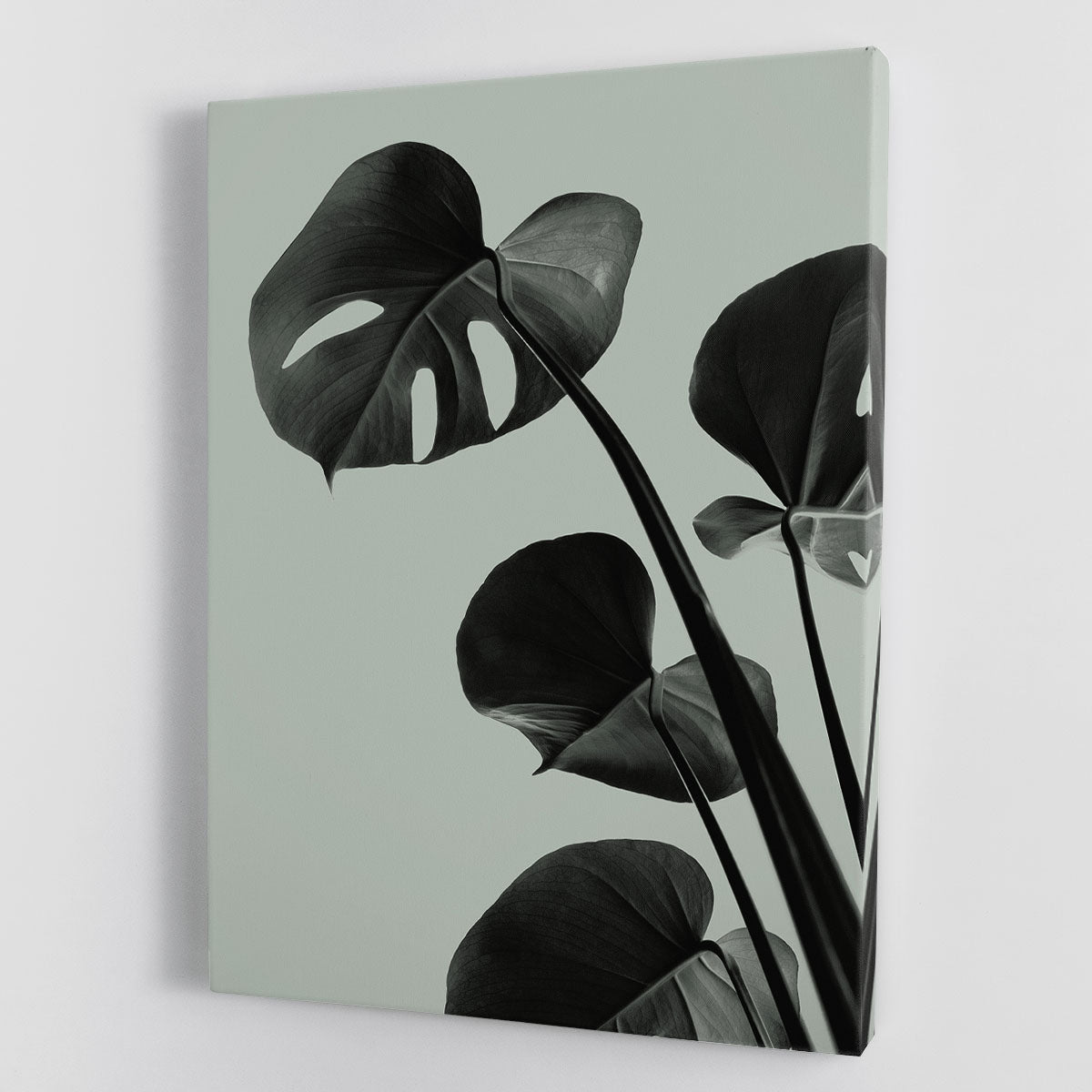 Monstera Teal 04 Canvas Print or Poster - Canvas Art Rocks - 1