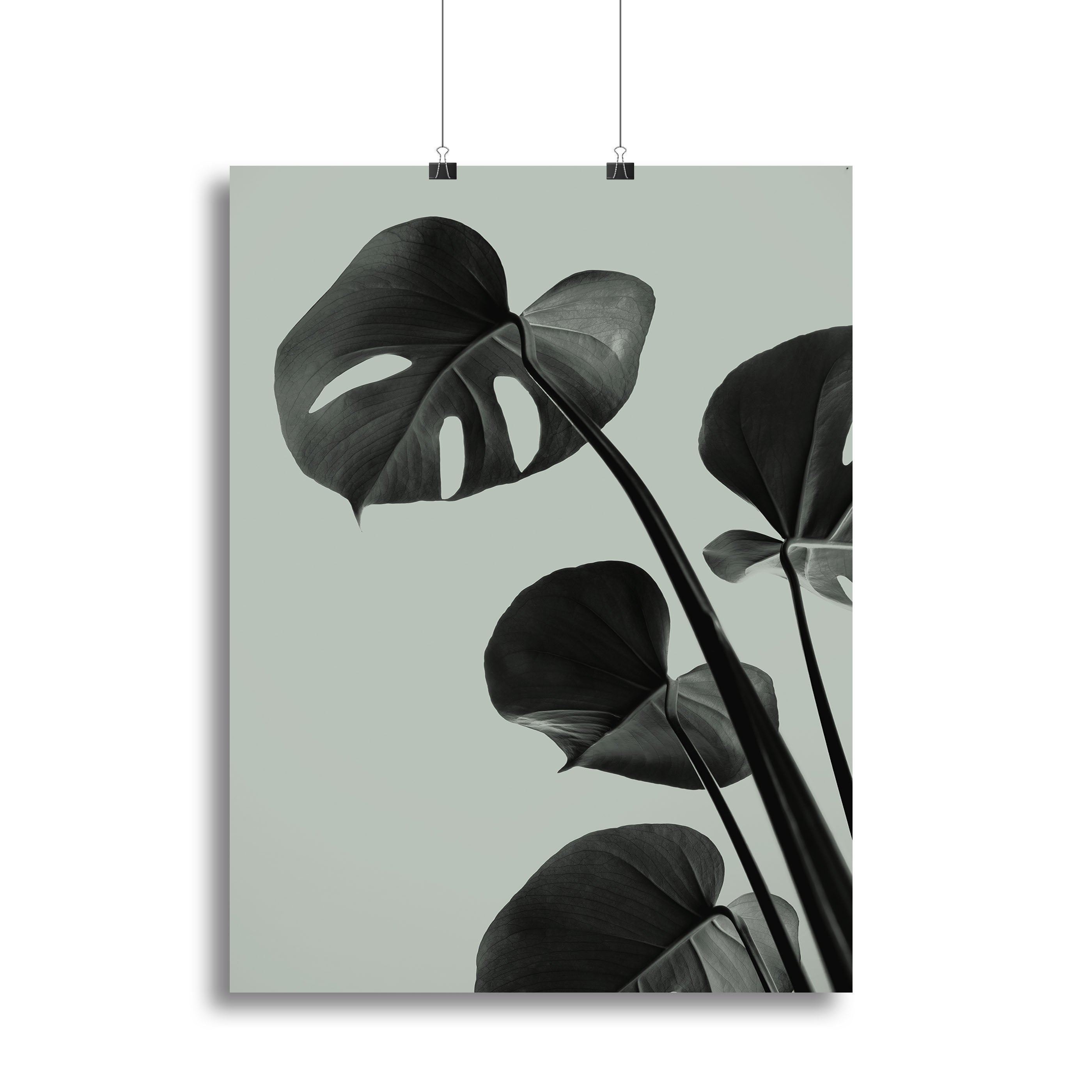 Monstera Teal 04 Canvas Print or Poster - Canvas Art Rocks - 2