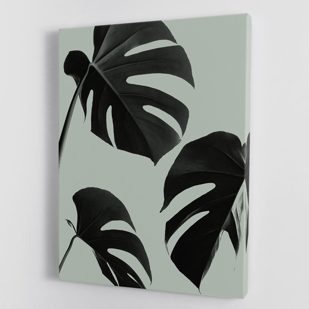 Monstera Teal 05 Canvas Print or Poster - Canvas Art Rocks - 1