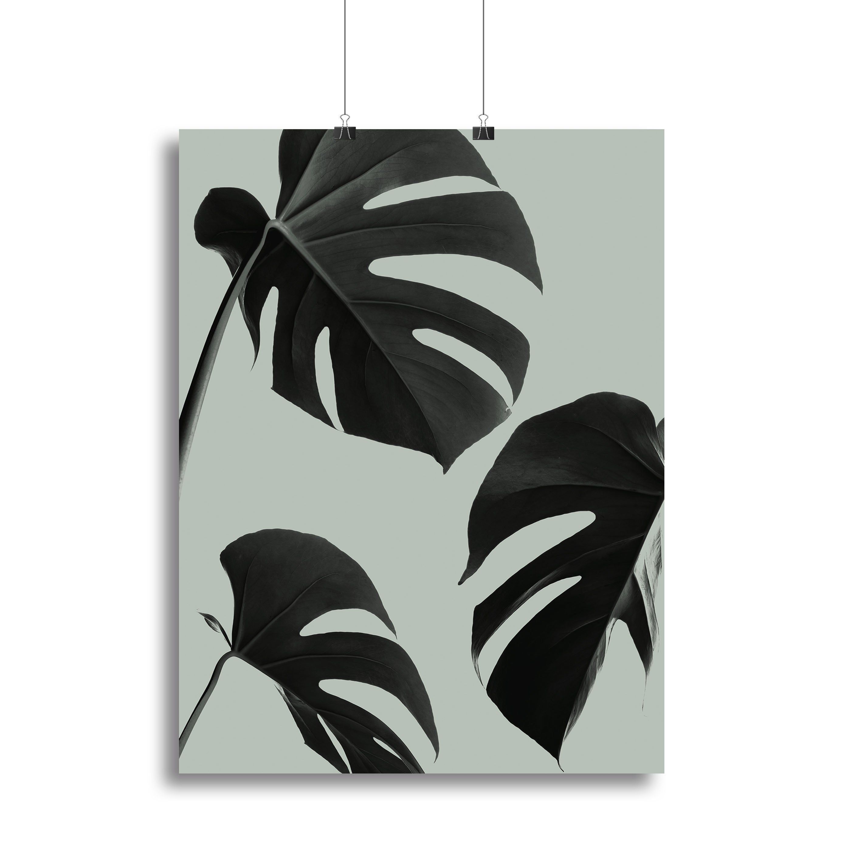 Monstera Teal 05 Canvas Print or Poster - Canvas Art Rocks - 2