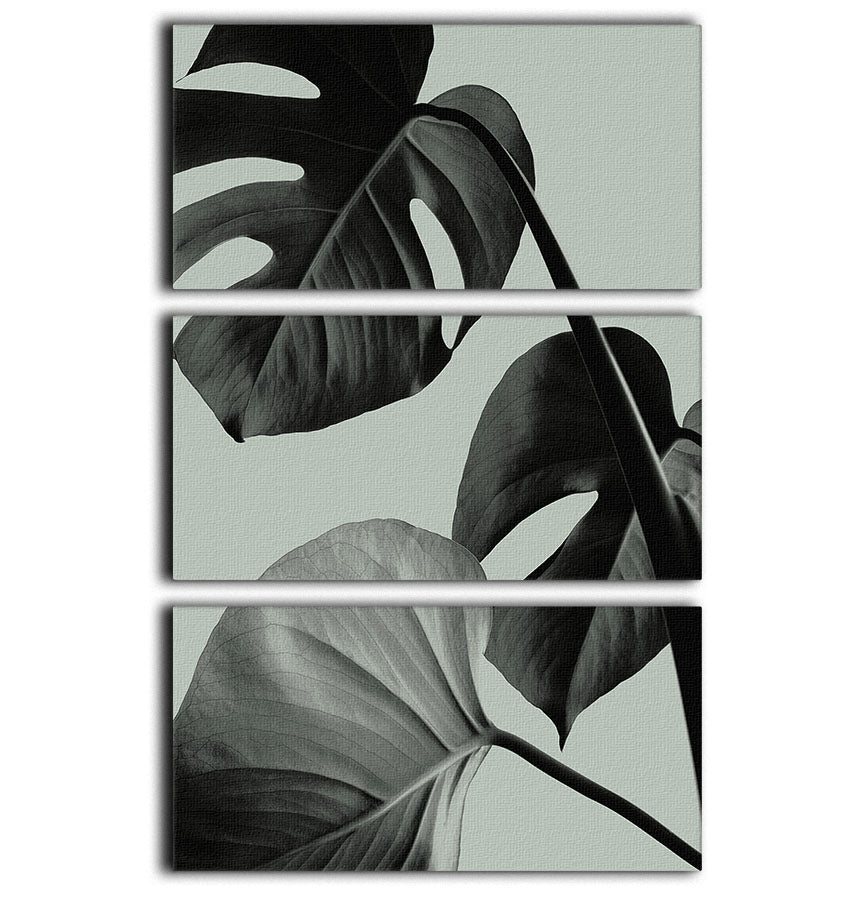 Monstera Teal 07 3 Split Panel Canvas Print - Canvas Art Rocks - 1